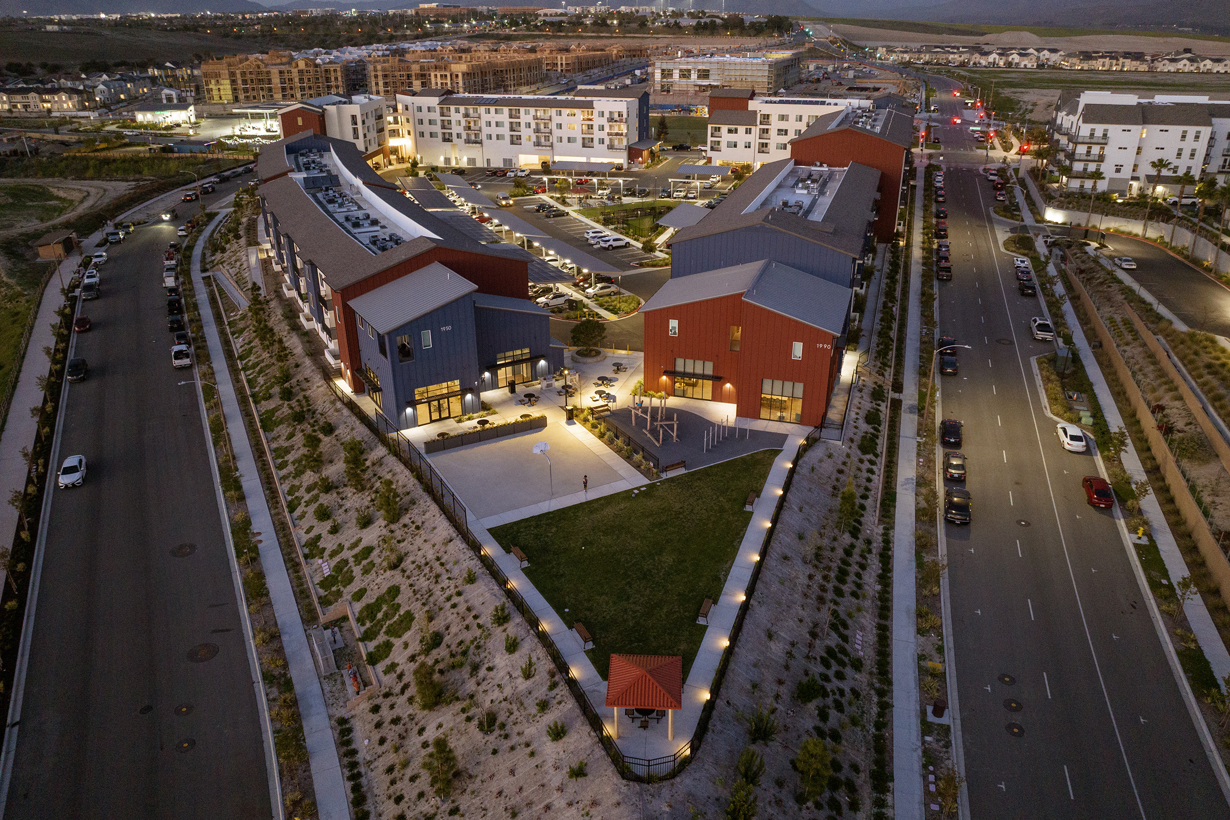 Encelia at Cota Vera